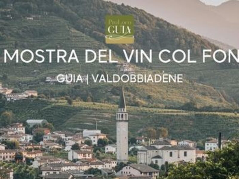 Il nostro Ieto Santin alla 26ª Mostra del Vin col Fondo di Guia!